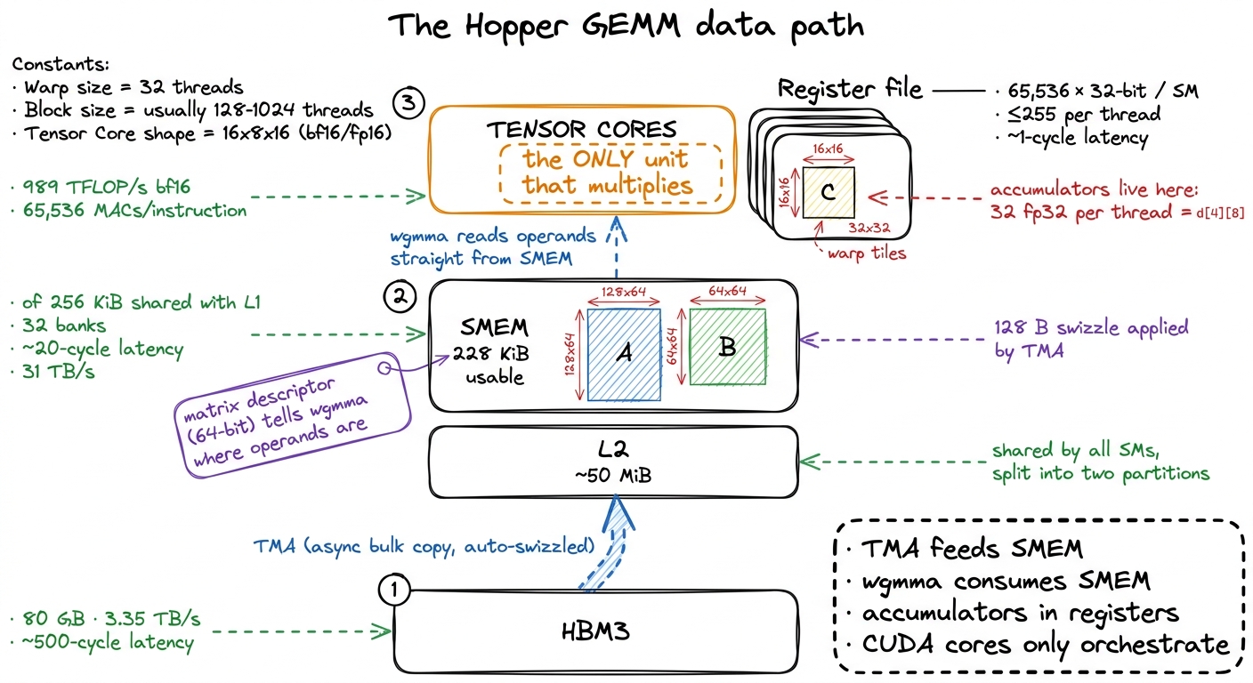 The full data path. Every optimization in this article rearranges traffic on this one picture: TMA feeds shared memory, 