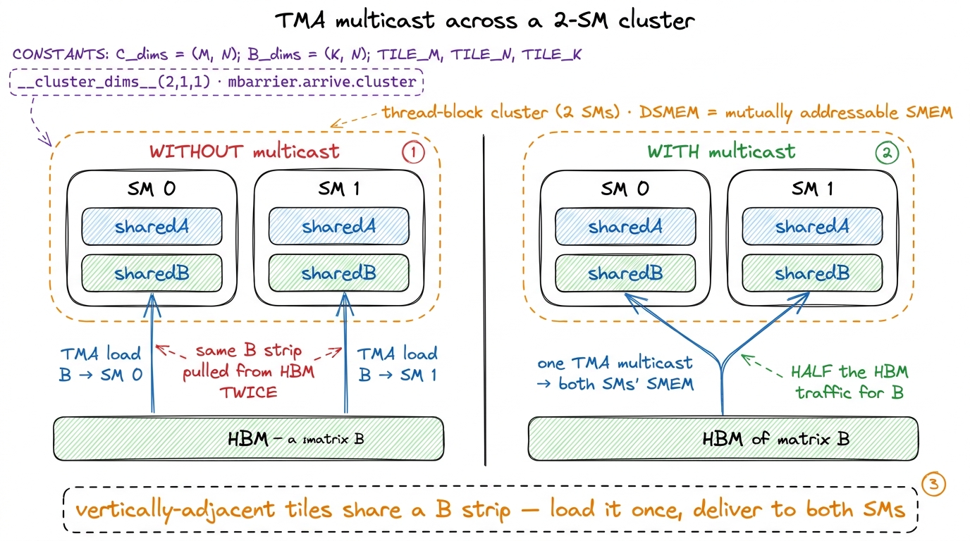 Two SMs in a cluster that both need the same strip of B load it once via TMA multicast instead of twice — halving HBM tr