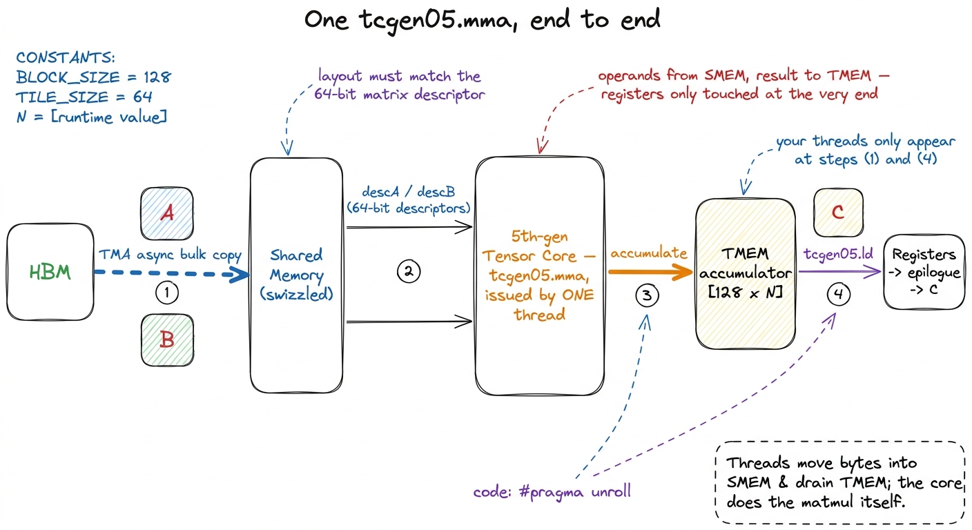 The Blackwell MMA pipeline end to end. Threads stage operands into shared memory (1), a single-thread tcgen05.mma reads 