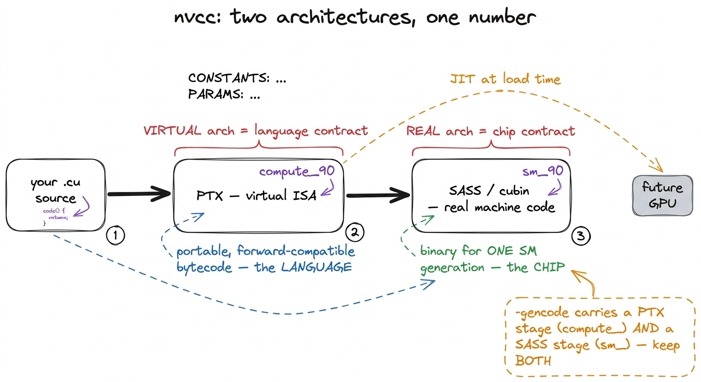 The compile splits into a virtual PTX stage and a real SASS stage; the flags name each one separately.