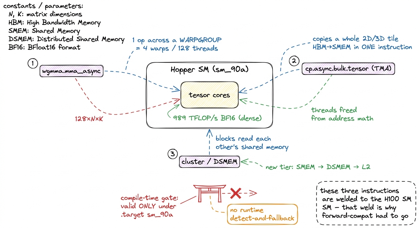 The three Hopper-only instructions — wgmma, TMA, clusters — are gated behind sm_90a because each is bolted to the physic