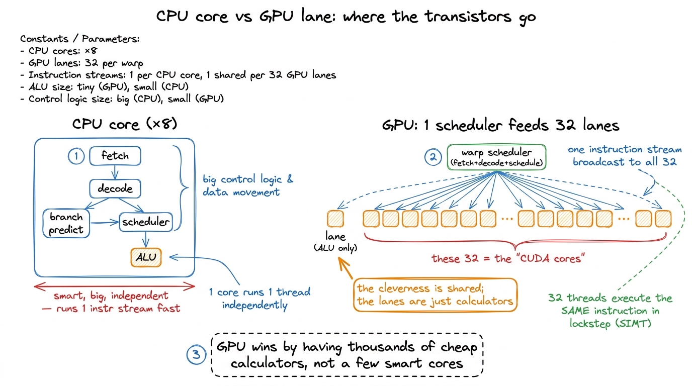The CPU spends transistors on being clever per core. The GPU spends them on having many calculators that share one brain