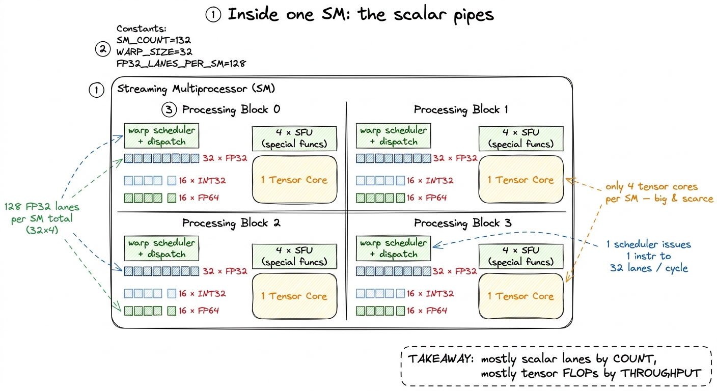 One SM, drawn to scale by count. The scalar pipes outnumber the tensor cores 32-to-1, yet lose the FLOP/s race badly. We