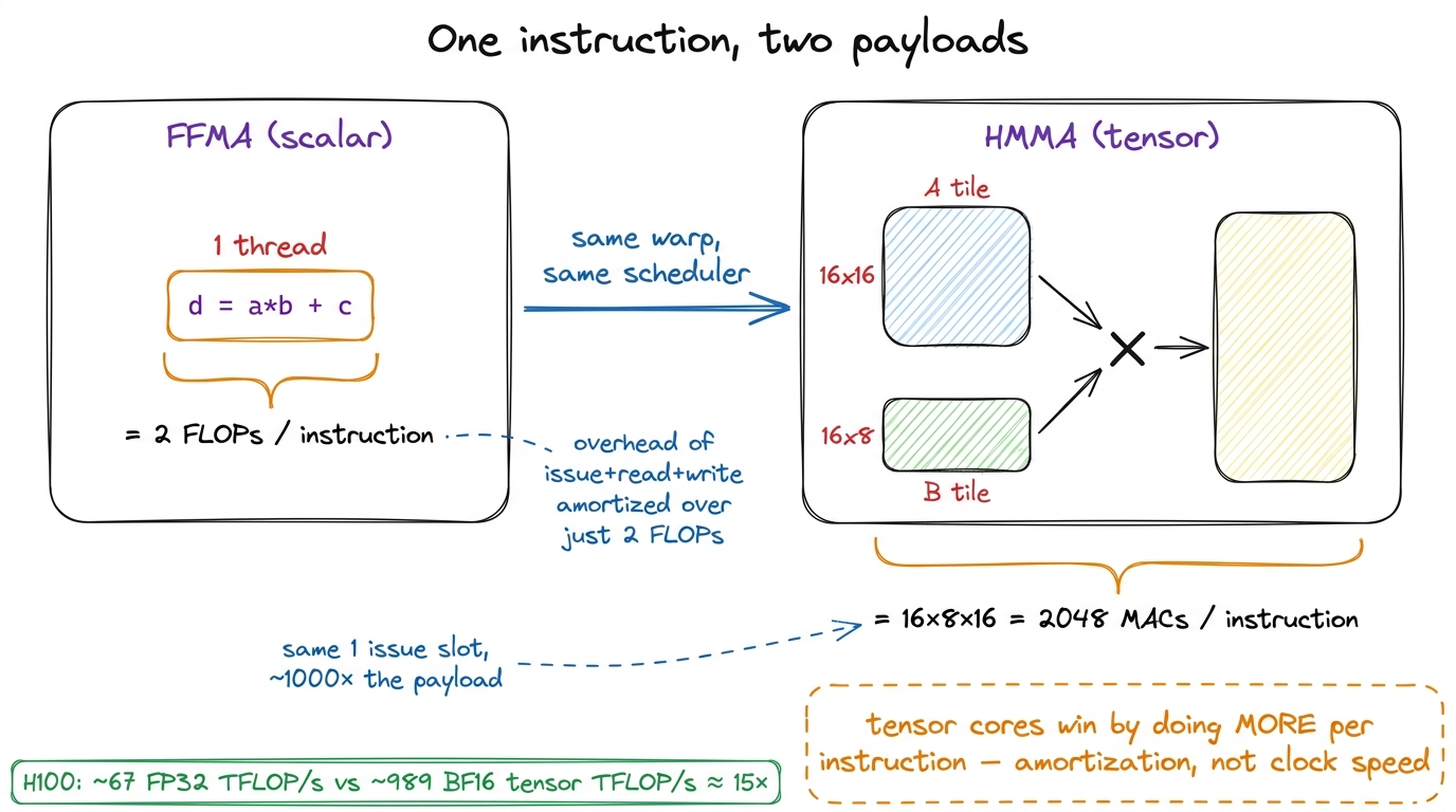 The scalar pipe does 2 FLOPs per instruction; the tensor core does thousands. The 15× gap is amortization, not raw speed