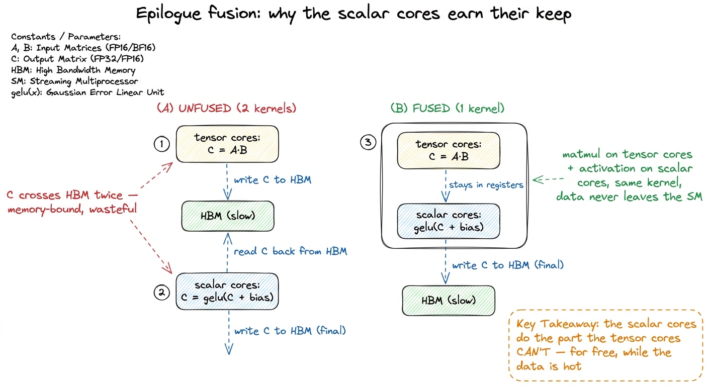 The clearest example of the two pipes cooperating: tensor cores do the matmul, scalar cores do the bias+activation, and 