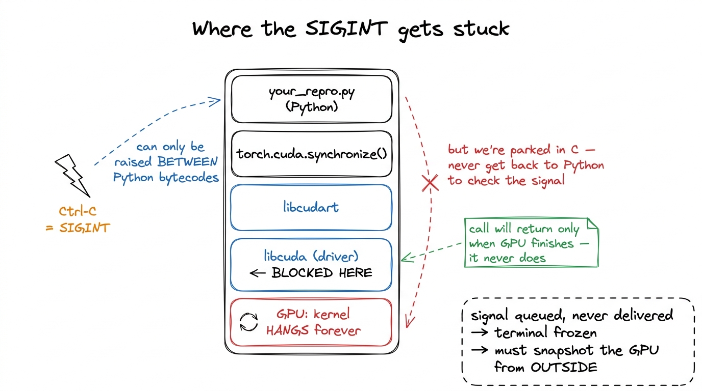 A zoom into the frozen stack. The interrupt lands on the Python frame, but the interpreter is stuck in a C driver call a
