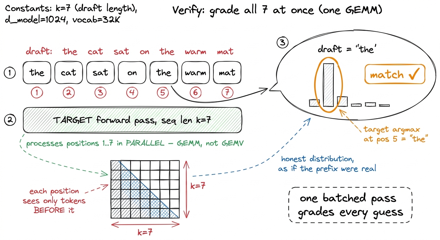 Verification zoomed in. All seven positions are graded in one parallel pass under a causal mask; at each position we com