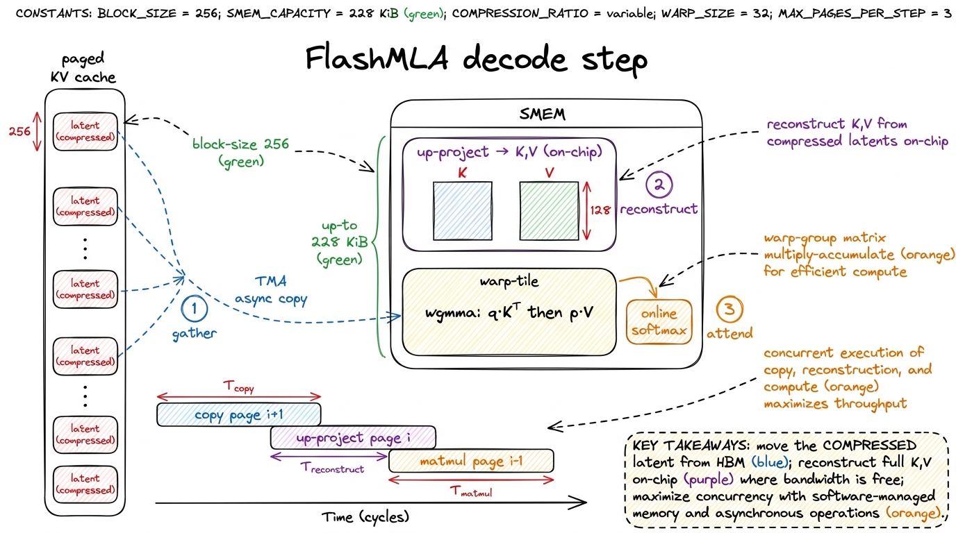 FlashMLA fuses page-gather, up-projection, and attention so only the small latent ever crosses HBM.