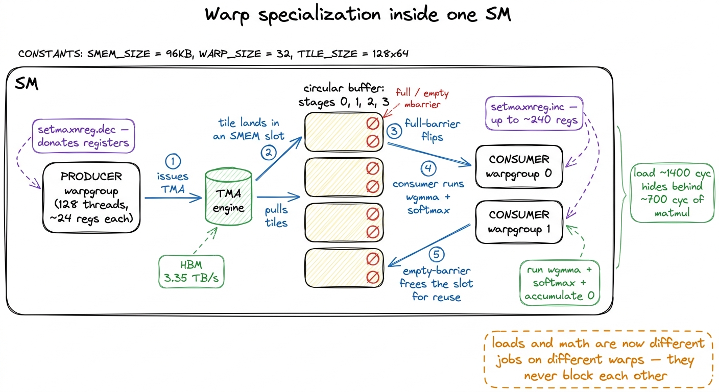Warp specialization: one lean producer warpgroup drives TMA into a shared-memory ring buffer, and register-rich consumer