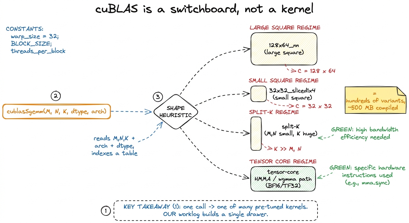 cuBLAS is a shape-indexed switchboard over hundreds of specialized kernels. Our whole ladder builds exactly one of those