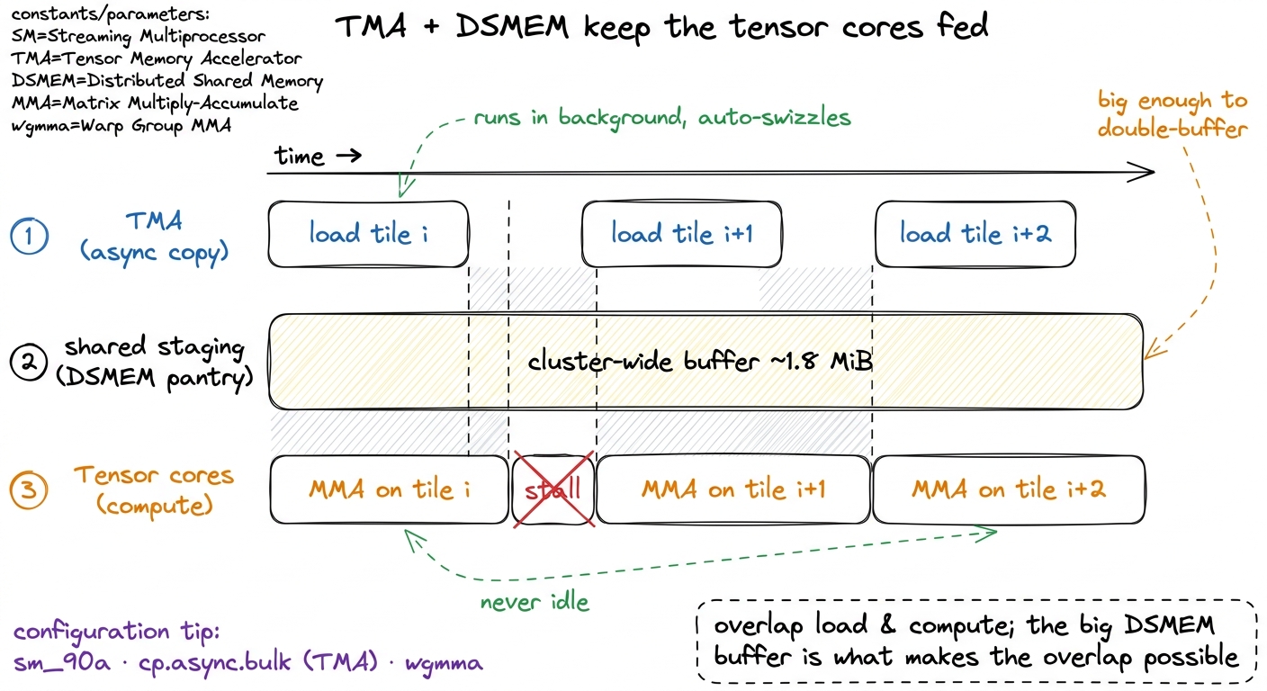 The producer/consumer pipeline. TMA asynchronously streams tiles into a large cluster-wide DSMEM buffer while the tensor