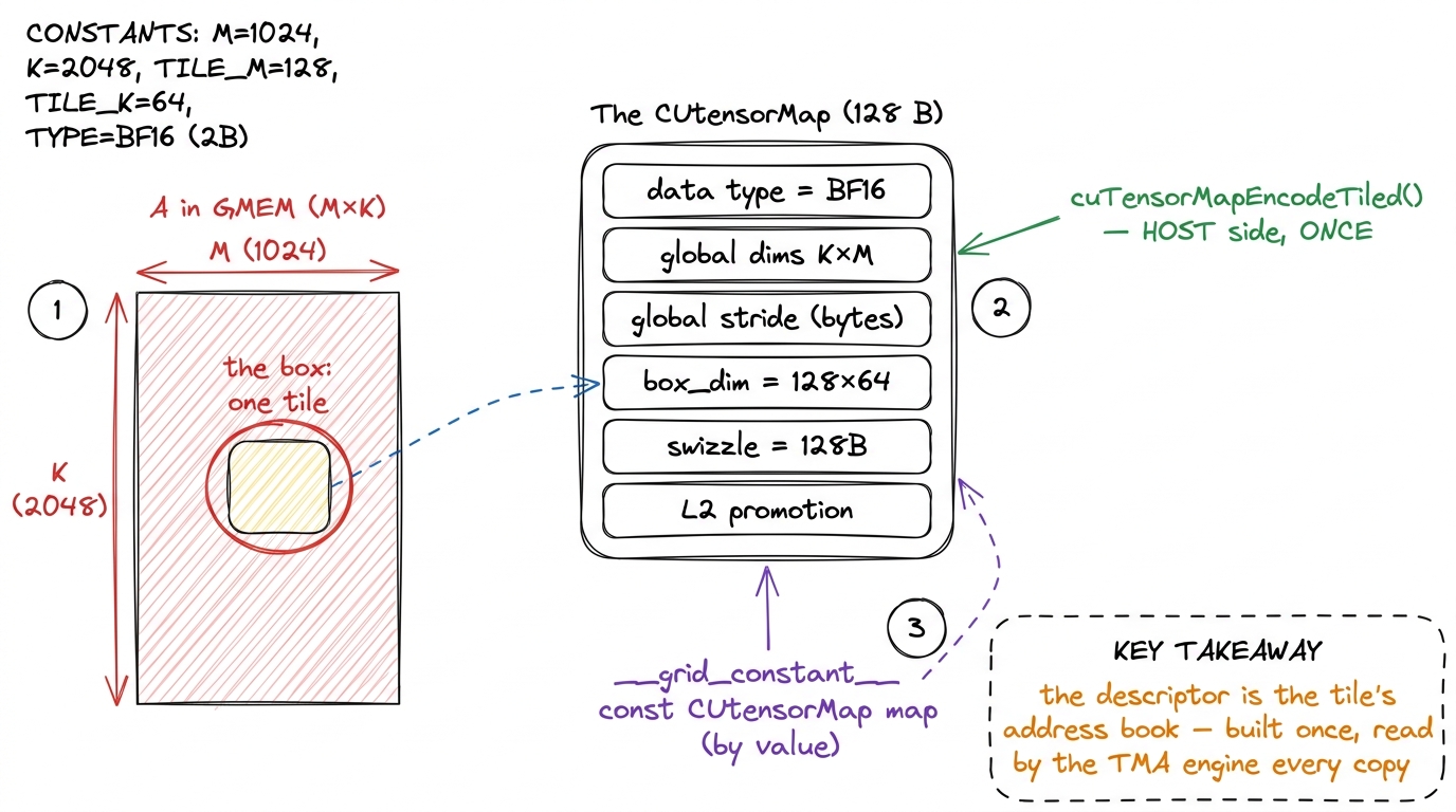 The descriptor is a 128-byte address book: shape, stride, tile size, and swizzle, encoded once on the host.