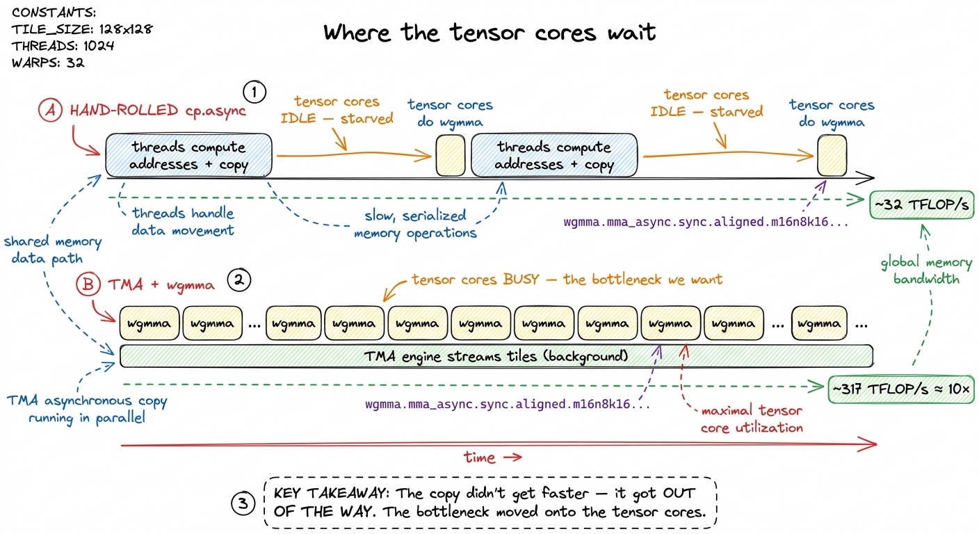 Before: tensor cores starve while threads run errands. After: the TMA engine feeds them in the background and they run n
