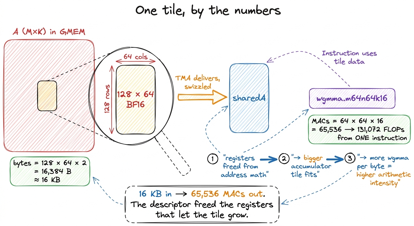 Counting one tile: 16 KB of BF16 in, 65,536 multiply-accumulates out — and the descriptor is what freed the registers to