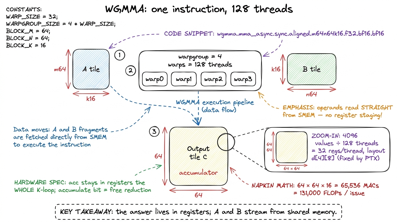 The WGMMA shape, zoomed to one thread. A warpgroup-wide instruction multiplies SMEM tiles into a register-resident accum
