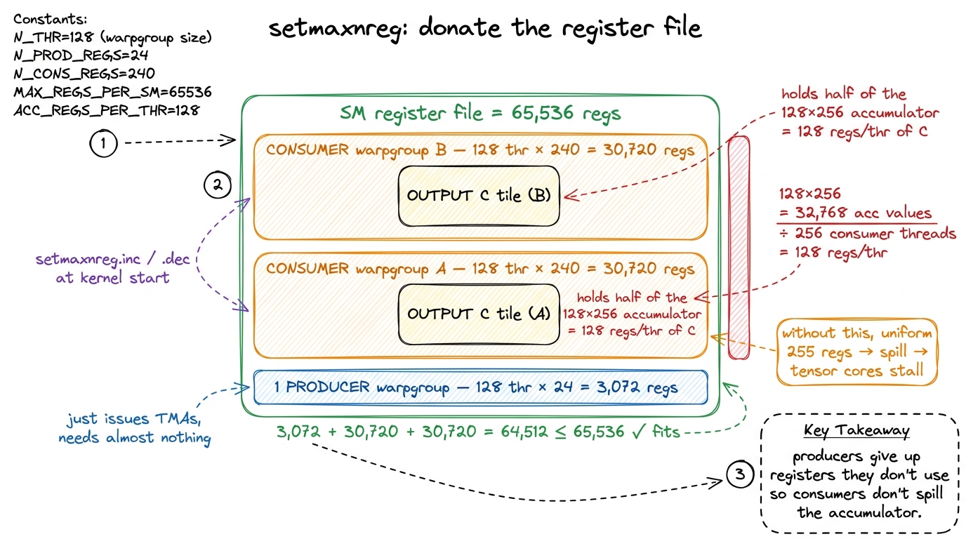 Register reallocation. The producer donates its share so the two consumers can each hold half the accumulator in registe