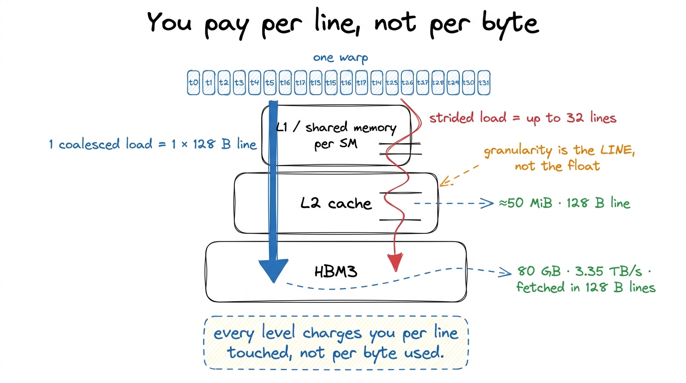 The path a load travels: HBM → L2 → L1/shared → registers, priced in fixed-size lines at every rung — which is exactly w