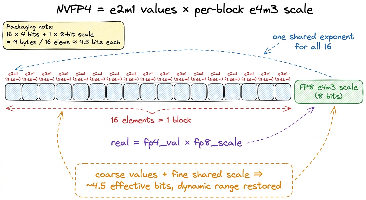 The same idea in the chip's own language: sixteen e2m1 values riding on one shared FP8 scale.