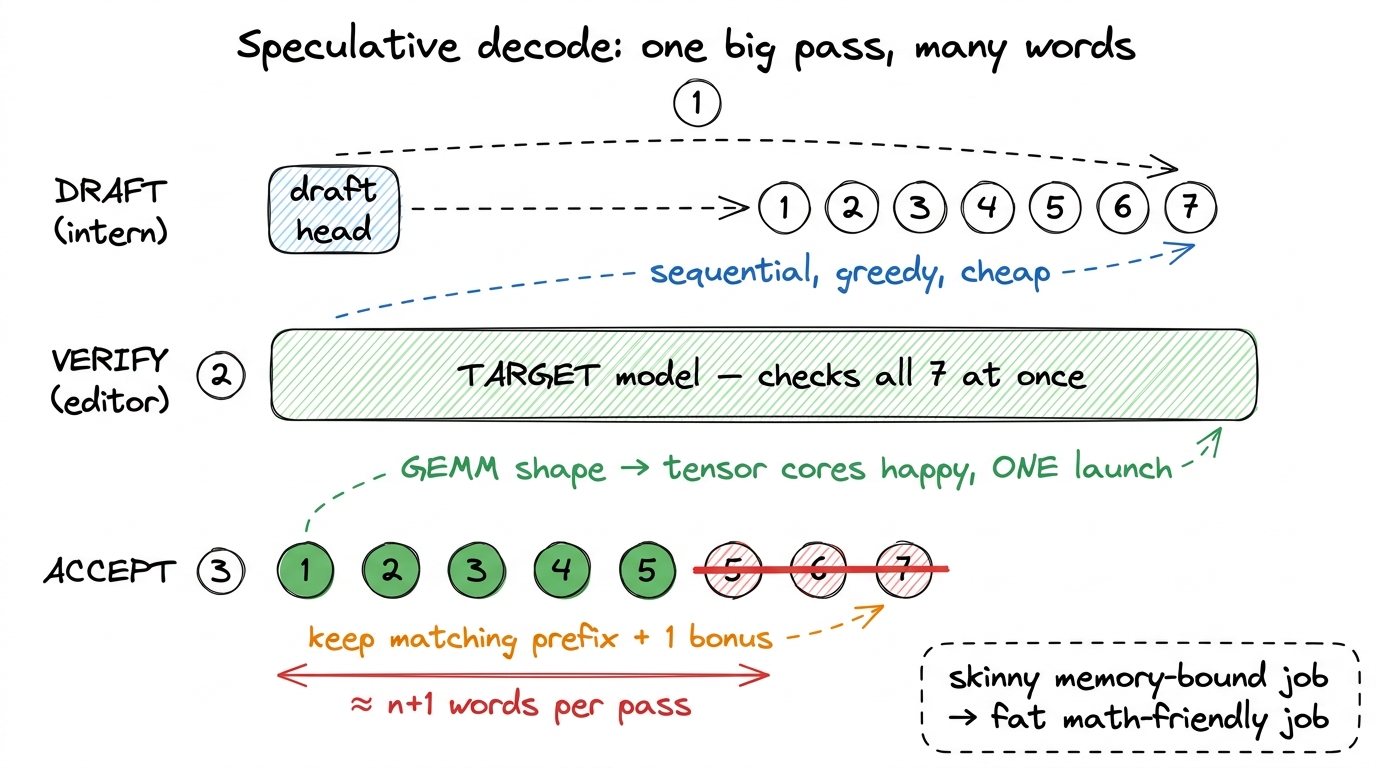 The technical translation: draft is sequential and cheap, verify is one batched pass, accept keeps the matching prefix p