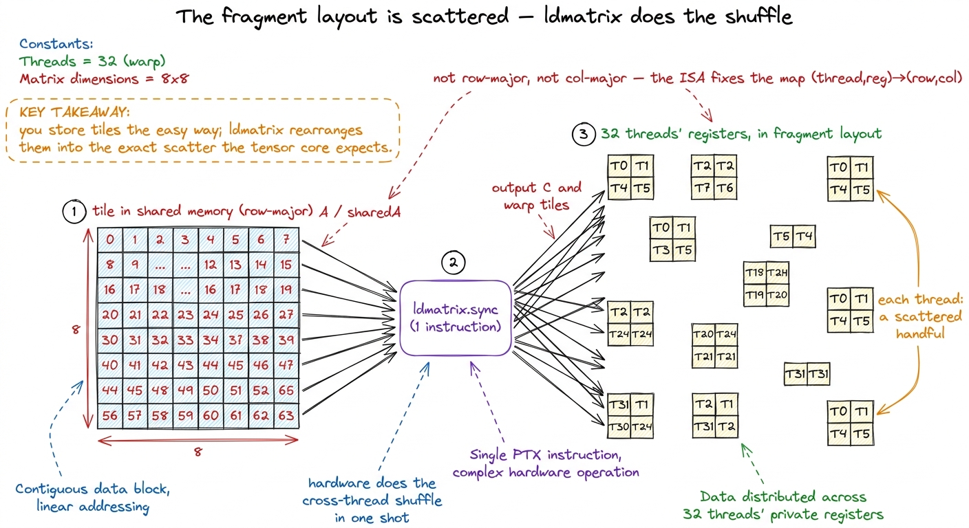 The technical translation of the boarding metaphor: shared-memory tiles are stored simply, and one `ldmatrix` shuffles t
