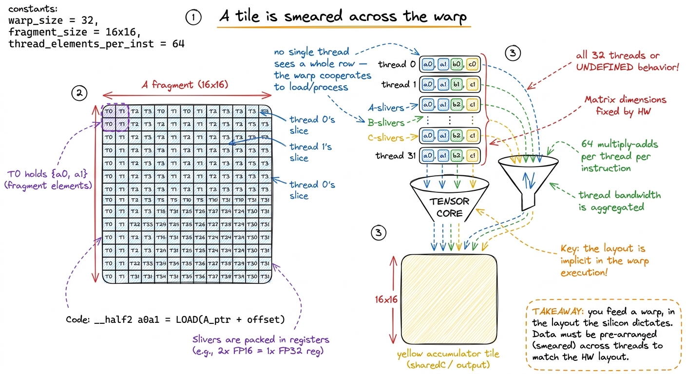 Operands live as fragments smeared across all 32 threads. This exact layout, not your convenience, is what the hardware 