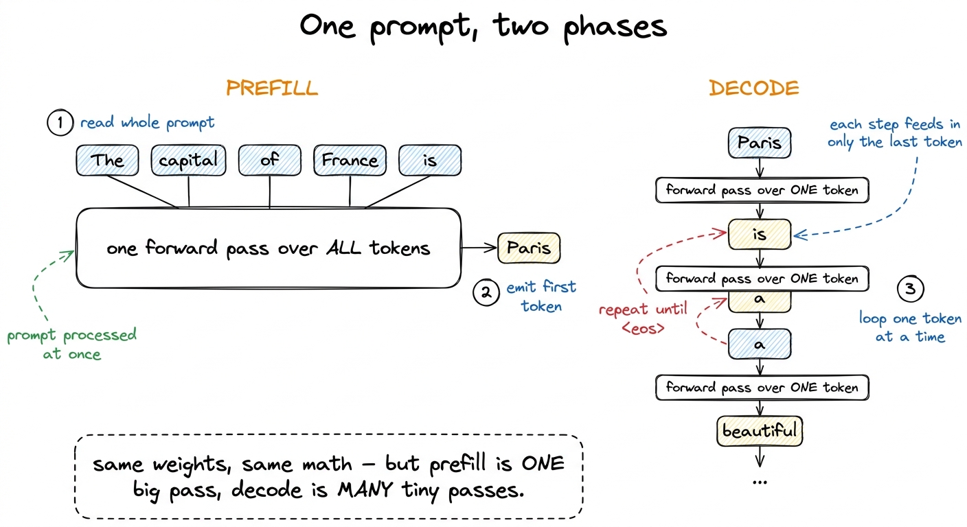 Prefill processes the whole prompt in one pass; decode then emits tokens one at a time in a loop.
