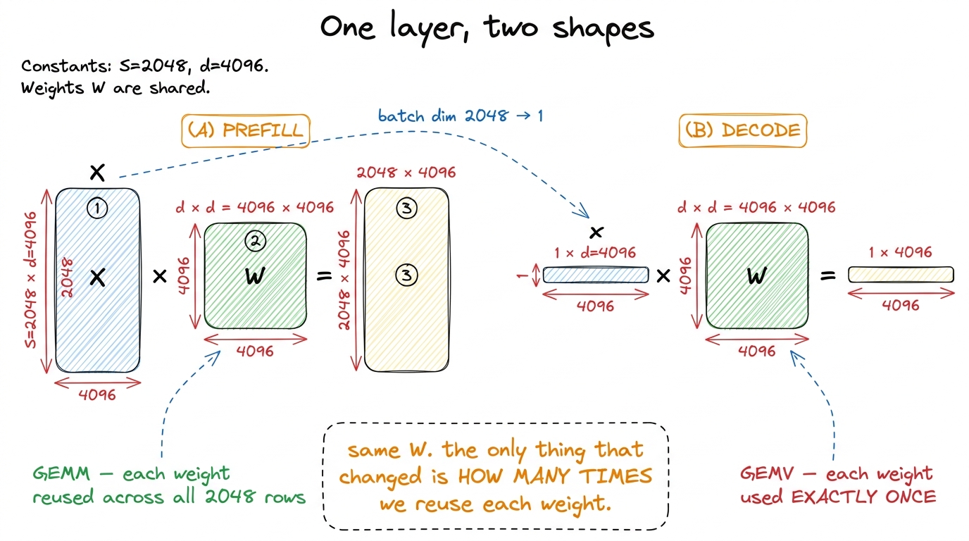 The same weight matrix, driven by a matrix in prefill and by a single vector in decode — the batch dimension is the whol