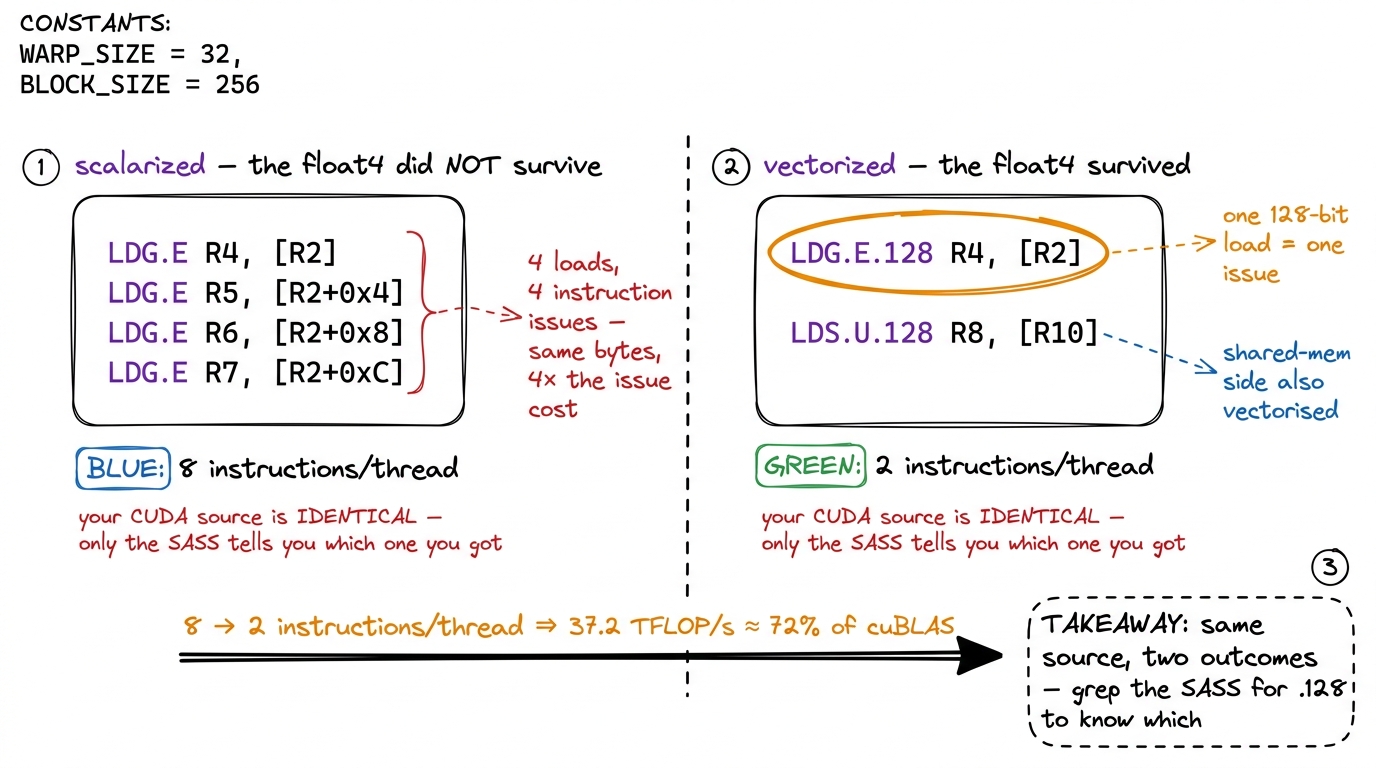 The same `float4` source can compile two ways. Only the SASS distinguishes four scalar `LDG.E` from one `LDG.E.128` — an