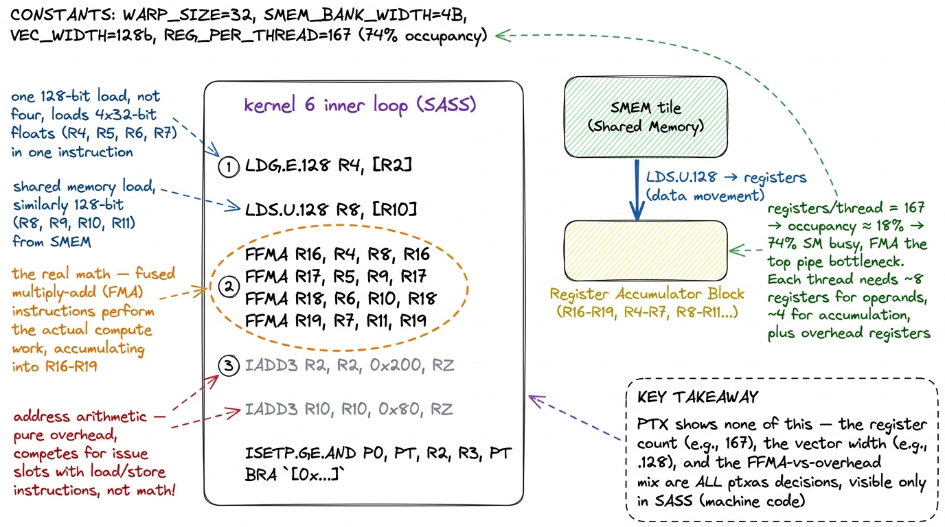 Reading SASS as evidence. The vector width, the register count, and the overhead-instruction mix are all decided by ptxa
