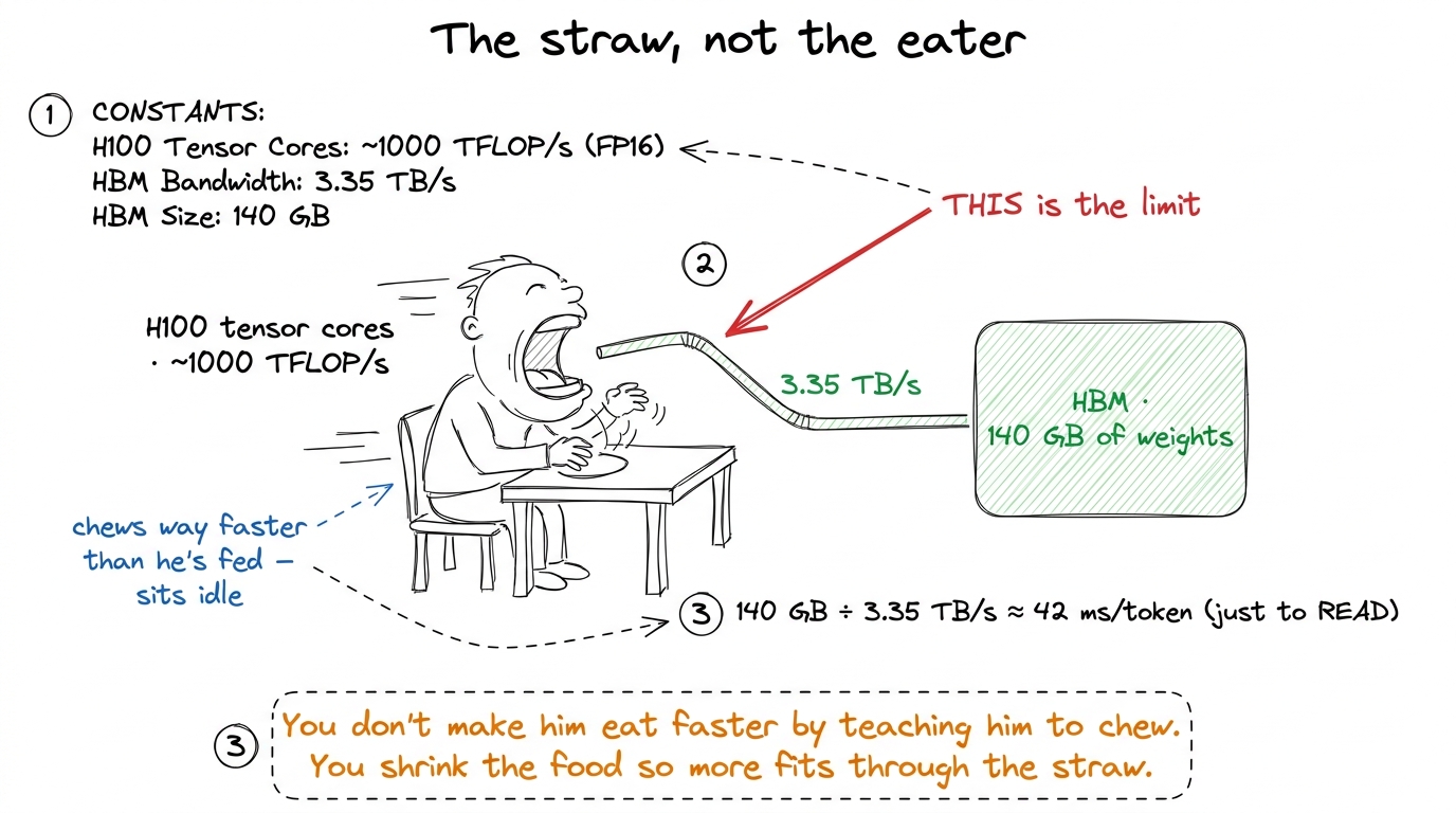 The GPU can multiply far faster than it can fetch. On decode the token rate is set entirely by how many weight-bytes you