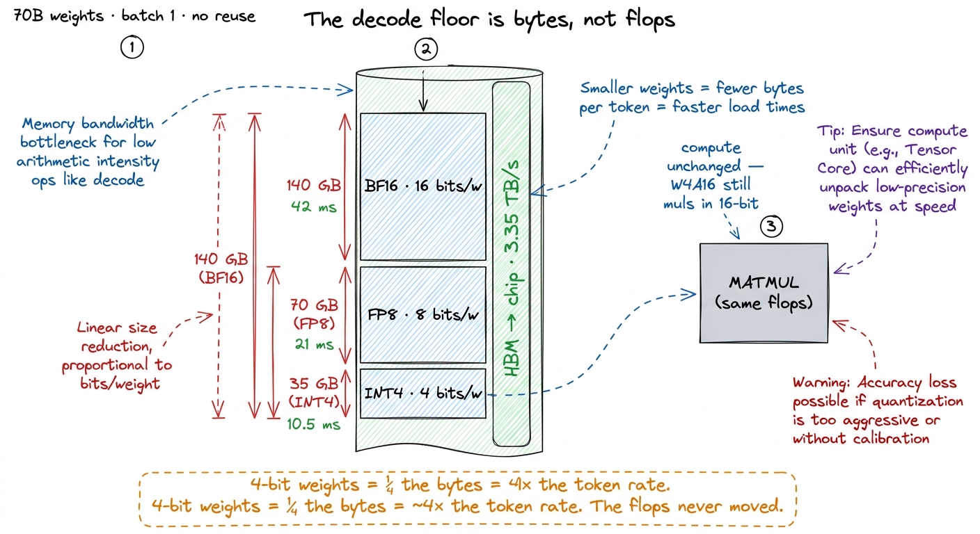 On the decode path a linear layer costs exactly what it costs to stream its weights. Shrink the weights and the token ra