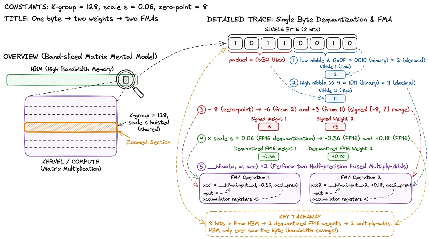 Zooming from the whole matrix down to a single byte: two 4-bit weights are masked out, recentered to signed, scaled, and