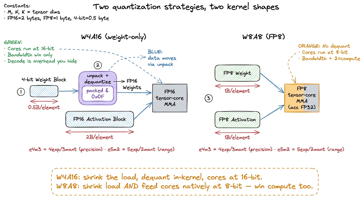 Weight-only 4-bit dequantizes back to 16-bit before the math, so you win only bandwidth; FP8 keeps activations low too, 