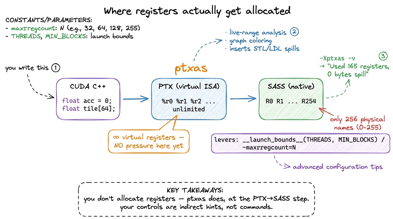 The allocation happens at the PTX-to-SASS step inside ptxas. Your knobs (launch_bounds, maxrregcount) are hints to that 