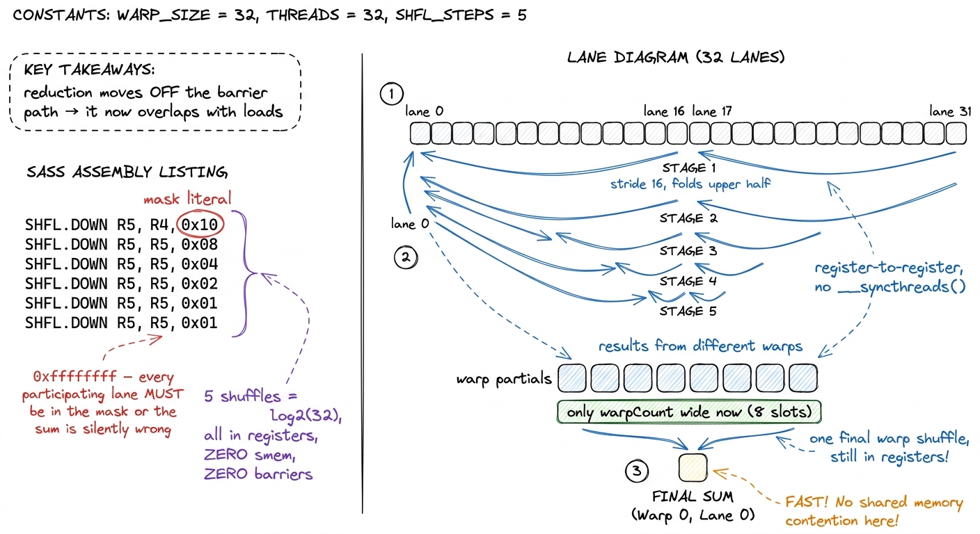 Kernel 2. The intra-warp reduction lives entirely in registers via `__shfl_down_sync`. Shared memory shrinks from 256 sl