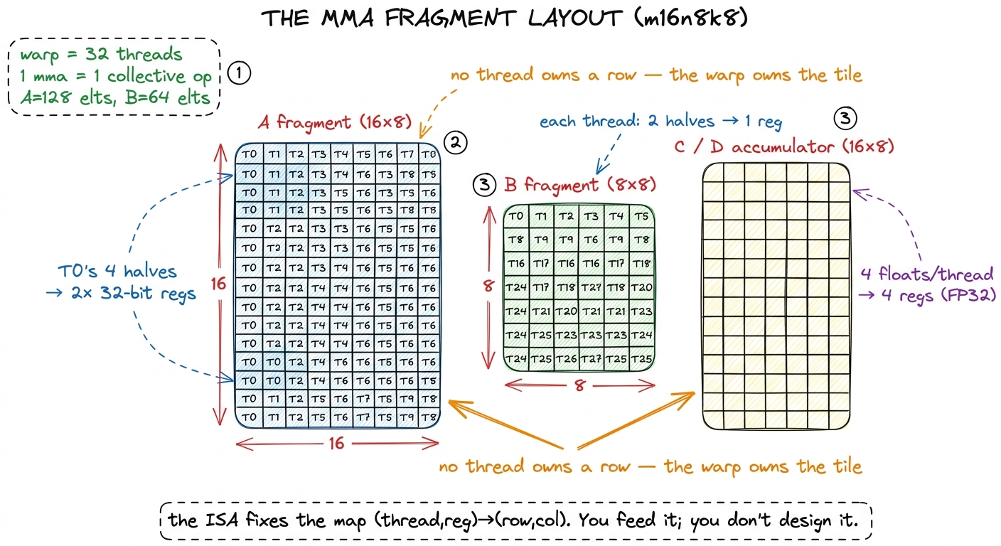 The three fragments of a single m16n8k8 MMA. Each of the 32 threads owns a scattered subset of every operand — the warp,