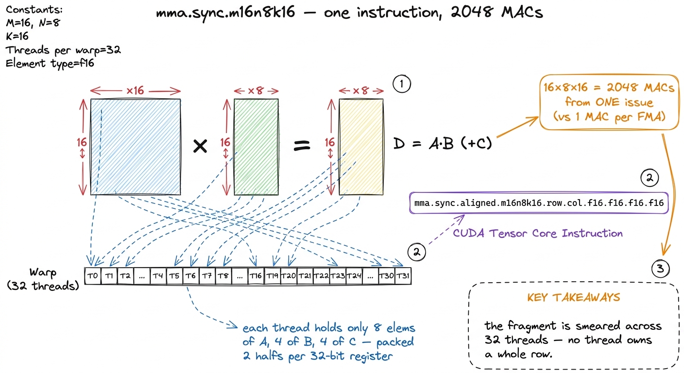 Anatomy of the instruction. A `16×8` output block summed over `k=16` is 2,048 MACs from a single warp-level issue, with 