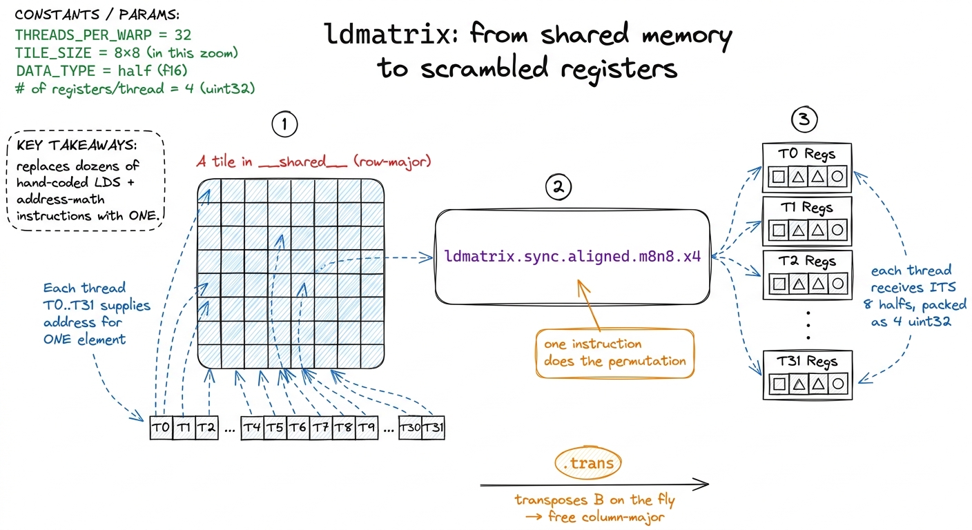 `ldmatrix` in one picture. Every thread supplies one address; the instruction returns each thread's correctly-scrambled 
