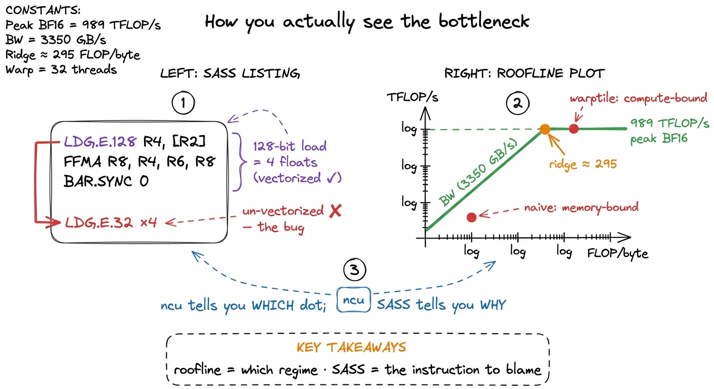 Rung 4. The roofline names your regime; the SASS names the instruction — a `LDG.E.128` versus four `LDG.E.32` is a vecto